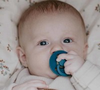 Пустышка BIBS Colour 2 Pack - Nordic Mint/Forest Lake 6+ months (120293) фото №2 — интернет-магазин Desire.md