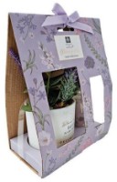 Odorizante aer H&S 30ml (34263)