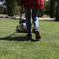 Maşina de tuns gazonul pe benzină Garland Sioux 655MSG-V23 imaginea #2 — magazin online Desire.md