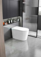 Унитаз iSink Alb (1305986) фото №2 — интернет-магазин Desire.md