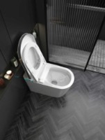 Унитаз iSink Alb (1305986) фото №5 — интернет-магазин Desire.md