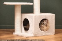 Когтеточка для кошек Beeztees Serpa (408878) фото №2 — интернет-магазин Desire.md