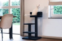 Ansamblu pentru pisici Beeztees Serpa Figo Black (408818) imaginea #2 — magazin online Desire.md