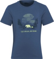 Детская футболка Jack Wolfskin Graphic Cotton T Kids Print Evening Sky, s.128 фото №1 — интернет-магазин Desire.md