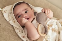 Конверт для малышей Jollein Dreamy Mouse (032-566-67056) фото №4 — интернет-магазин Desire.md