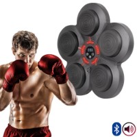 Boxing trainer Insportline Smartpunch 26787 imaginea #4 — magazin online Desire.md