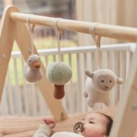 Игрушка для колясок и кроваток Jollein Babygym (107-001-00096) фото №3 — интернет-магазин Desire.md