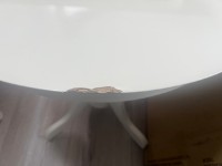 Уценка! Обеденный стол раскладной Evelin HV 31 N Cream Light фото №3 — интернет-магазин Desire.md