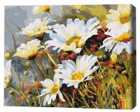 Картина по номерам Brushme Земляника в ромашках (BS52280) фото №1 — интернет-магазин Desire.md