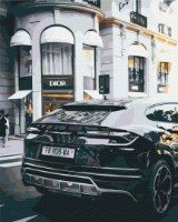 Tablou pe numere Brushme Viață luxoasă (BS52523FC)