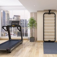 Spalier gimnastica Insportline Wootalux (26736) imaginea #5 — magazin online Desire.md