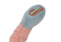 Păpușa Jollein Doll Rose (037-001-68072) imaginea #3 — magazin online Desire.md