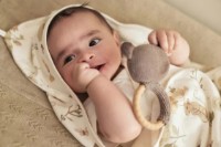 Полотенце для детей Jollein Dreamy Mouse 75x75 (534-836-67056) фото №5 — интернет-магазин Desire.md