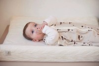 Детский спальный мешок Jollein Goose Nougat 70cm (048-510-66055) фото №2 — интернет-магазин Desire.md