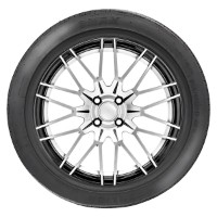 Шина Zmax Zealion 205/55 R17 95W XL фото №3 — интернет-магазин Desire.md