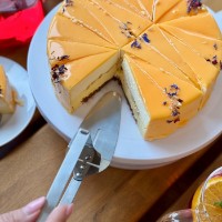 Лопатка Tadar Feeder 24cm фото №3 — интернет-магазин Desire.md