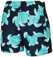 Детские плавки Aqua Speed Finn, s.10/12 Turtles фото №2 — интернет-магазин Desire.md