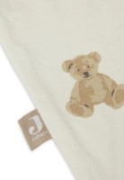 Детский спальный мешок Jollein Jersey Teddy Bear 110cm (048-529-66095) фото №2 — интернет-магазин Desire.md
