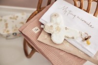 Детская простынь Jollein Jersey Twig Wild Rose 120x60cm (511-507-67042) фото №3 — интернет-магазин Desire.md