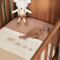 Детская простынь Jollein Jersey Wild Rose 120x60cm (511-507-67069) фото №2 — интернет-магазин Desire.md