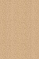 Рулонные шторы Msrolls Akant A 202 Beige 0.90x1.70m фото №2 — интернет-магазин Desire.md