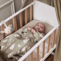 Sac de dormit pentru bebeluși Jollein Miffy&Snuffy Olive Green 90cm (016-541-67097) imaginea #5 — magazin online Desire.md