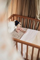 Детская простынь Jollein My Tiny Miracle Wild Rose 120x150cm (008-524-67059) фото №4 — интернет-магазин Desire.md