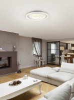 Потолочный светильник Trio Kagawa (625815031) фото №2 — интернет-магазин Desire.md