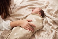 Pelinca-cocon Jollein Twig Wild Rose (047-547-67042) imaginea #3 — magazin online Desire.md