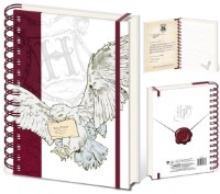 Blocnotes Pyramid SR74526 imaginea #2 — magazin online Desire.md