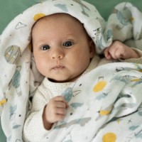 Pelinci Petite&Mars Misty Grey Planes 2pcs 120x120cm (417361) imaginea #4 — magazin online Desire.md