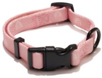 Ошейник Explorer Dog Rainbow S 24-36cm (TED117)