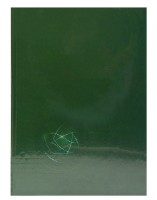 Caiet Idee A4/96p Nemesis OB9608 imaginea #1 — magazin online Desire.md