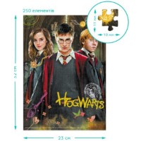 Пазл Dodo 250 Harry Potter (200498) фото №2 — интернет-магазин Desire.md