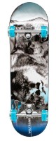 Скейтборд New World Wolf Roar (PY-808) фото №3 — интернет-магазин Desire.md