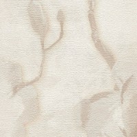 Tapete A.S.Creation 79070-4 Flowers Symphony