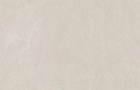 Обои Fipar R23929 Burlesque