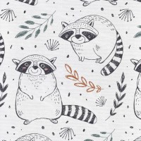 Masă înfăşat Ceba Baby Raccoon 60x40cm (W-305-000-636) imaginea #2 — magazin online Desire.md