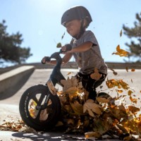 Bicicleta fără pedale Y-volution YV-YT30B2 imaginea #4 — magazin online Desire.md