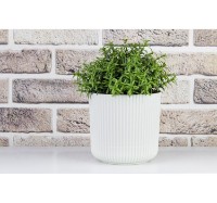 Цветочный горшок M Plastik Вельвет М3182 фото №4 — интернет-магазин Desire.md