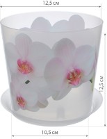 Ghiveci M Plastik Деко М3105 imaginea #2 — magazin online Desire.md