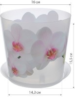 Ghiveci M Plastik Деко М3106 imaginea #2 — magazin online Desire.md