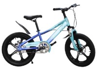 Детский велосипед New World Blue 229004 SJ-42 фото №1 — интернет-магазин Desire.md