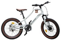 Bicicletă copii New World Grey 229026 20-KFC imaginea #1 — magazin online Desire.md
