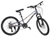 Bicicletă copii New World Grey 61516 AVITA imaginea #1 — magazin online Desire.md