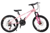 Bicicletă copii New World Pink 61555 WEIERFA imaginea #1 — magazin online Desire.md