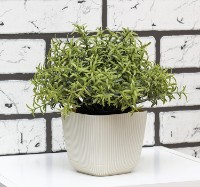 Ghiveci M Plastik Пиканто М3208 imaginea #4 — magazin online Desire.md