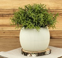 Ghiveci M Plastik Пиканто М3212 imaginea #4 — magazin online Desire.md