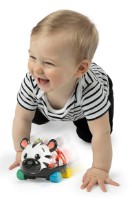 Машина Baby Einstein Curious Car Zen Oball (16772) фото №2 — интернет-магазин Desire.md