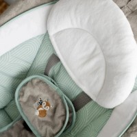 Leagăn pentru bebeluși Bright Starts Ingenuity AnyWay Sway (12584) imaginea #9 — magazin online Desire.md